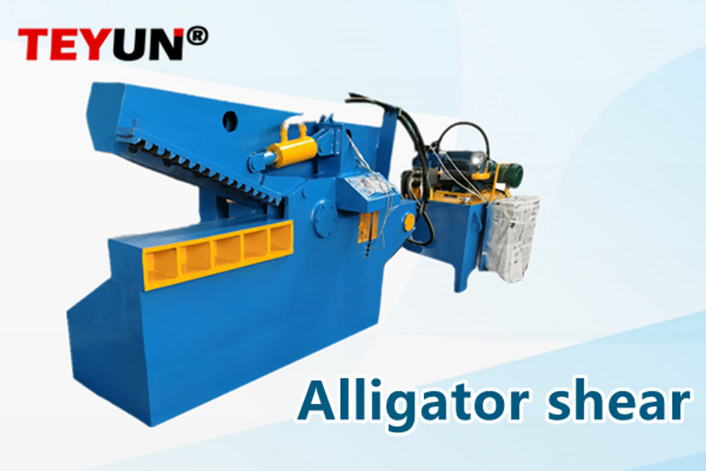 How to maintain an alligator shear？